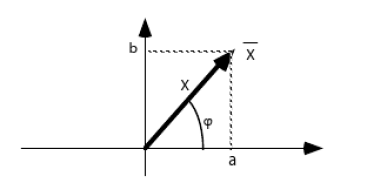Représentation du vecteur associé au nombre complexe X
