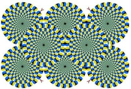 Illusion d'optique : une image statique semble en mouvement